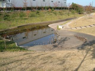 水場遺構