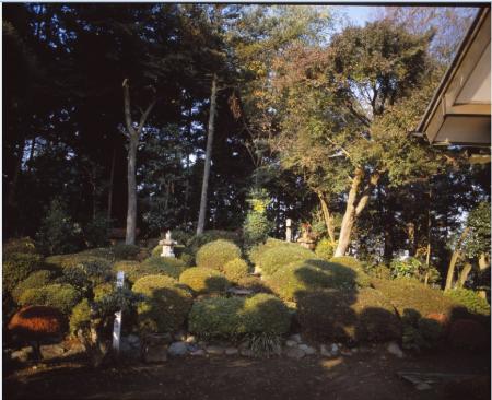 横倉戸館古墳群