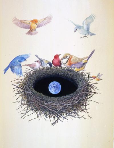 絵本と世界の鳥の巣展01
