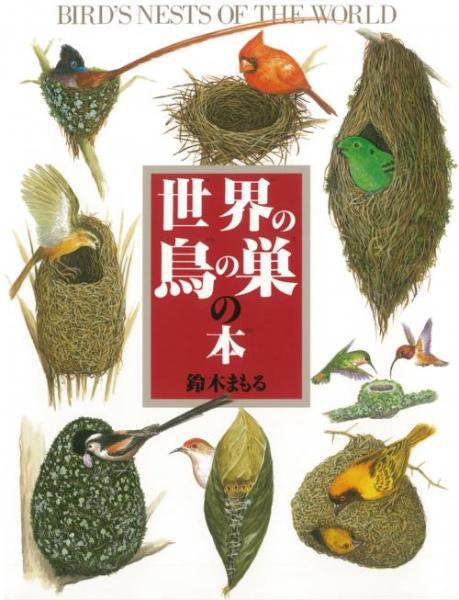 絵本と世界の鳥の巣展07