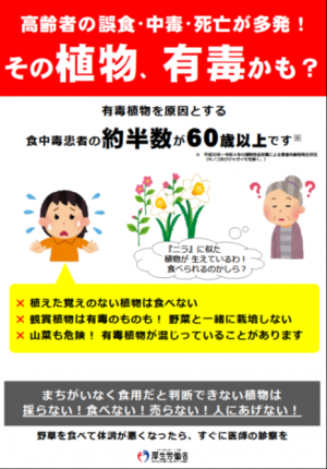 高齢者の誤食・中毒・死亡が多発！その植物、有毒かも？