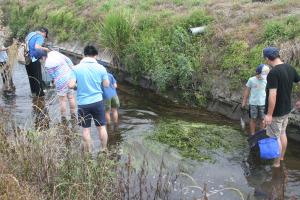 川の生き物観察会01