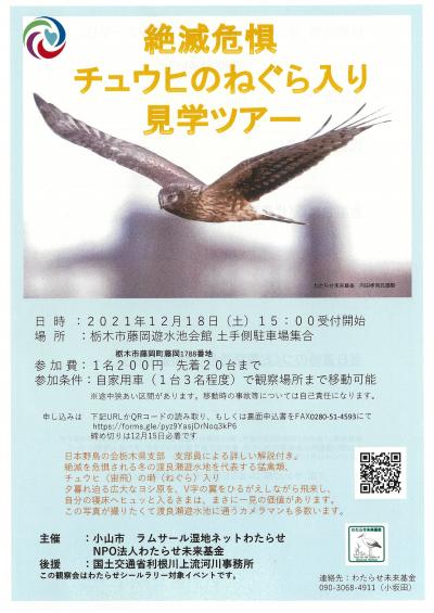 渡良瀬遊水地チュウヒのねぐら入り観察会チラシ（2021年12月18日）