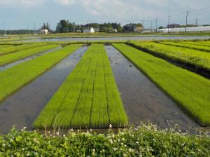 小山市有機農業推進協議会