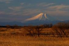 富士山を望む渡良瀬遊水地
