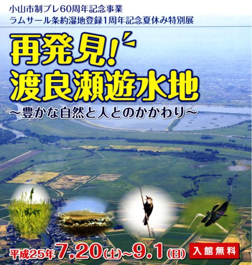 平成25年度 夏休み特別展 「再発見！渡良瀬遊水地」