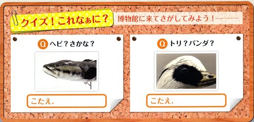 クイズ！これなぁに？