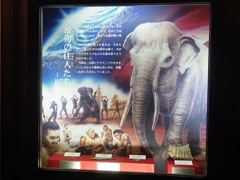 旧石器時代展示