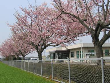 絹出張所・絹公民館