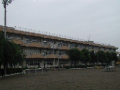 若木小学校