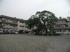 中小学校