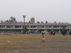 乙女小学校