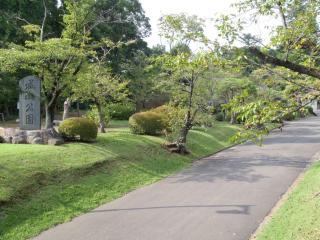 城山公園