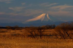 渡良瀬遊水地と富士山
