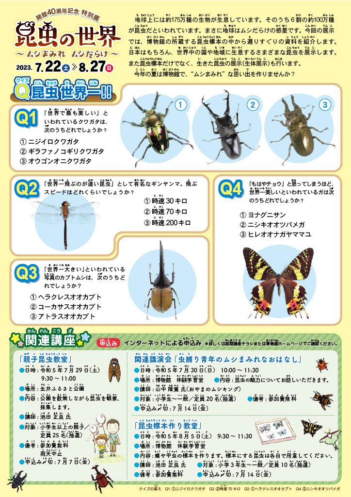 昆虫の世界チラシ裏