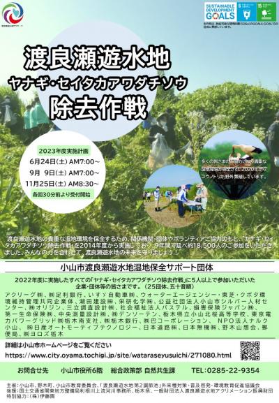 令和5年度渡良瀬遊水地ヤナギ・セイタカアワダチソウ除去作戦チラシ9月