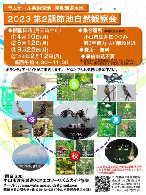 2023渡良瀬遊水地第2調節池自然観察会チラシ