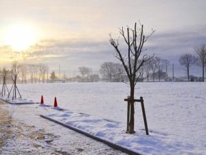 積雪校庭