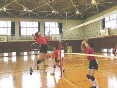 volleyball3