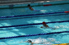 swimming5