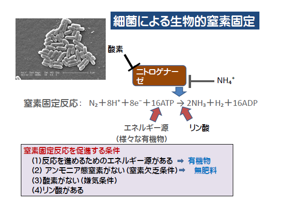 13オガ講座03