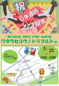 R7コウノトリマルシェちらし