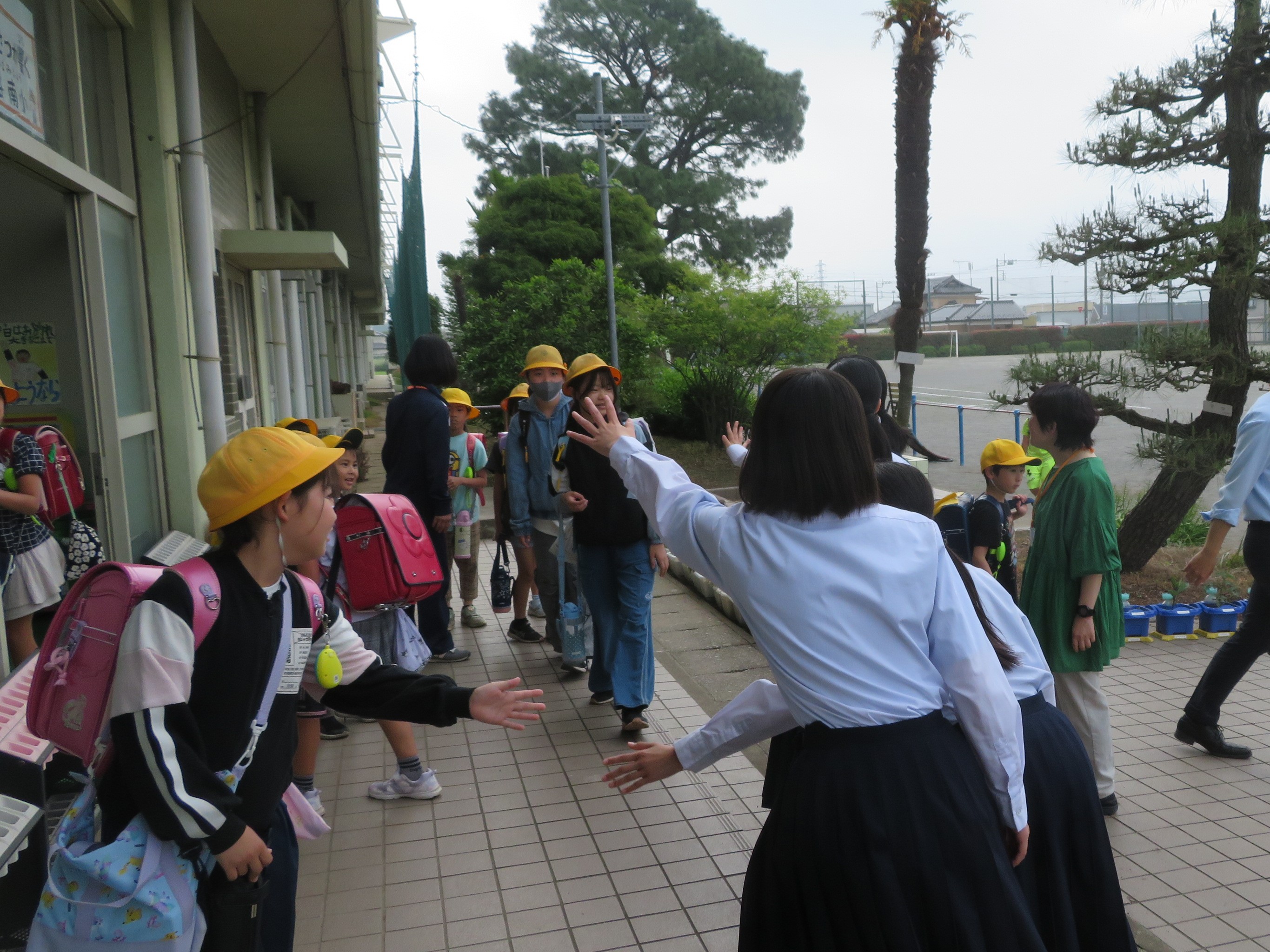 minkira3