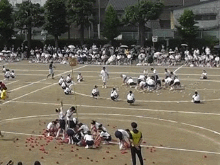 0516運動会玉入れani