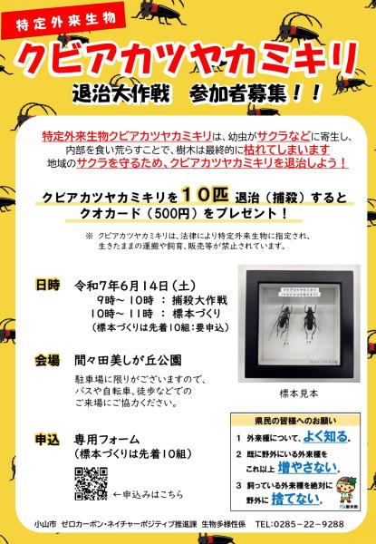 クビアカツヤカミキリ退治大作戦チラシ