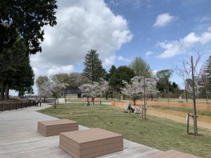 R6城山公園