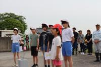 taue1