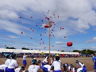 0601運動会 (5)