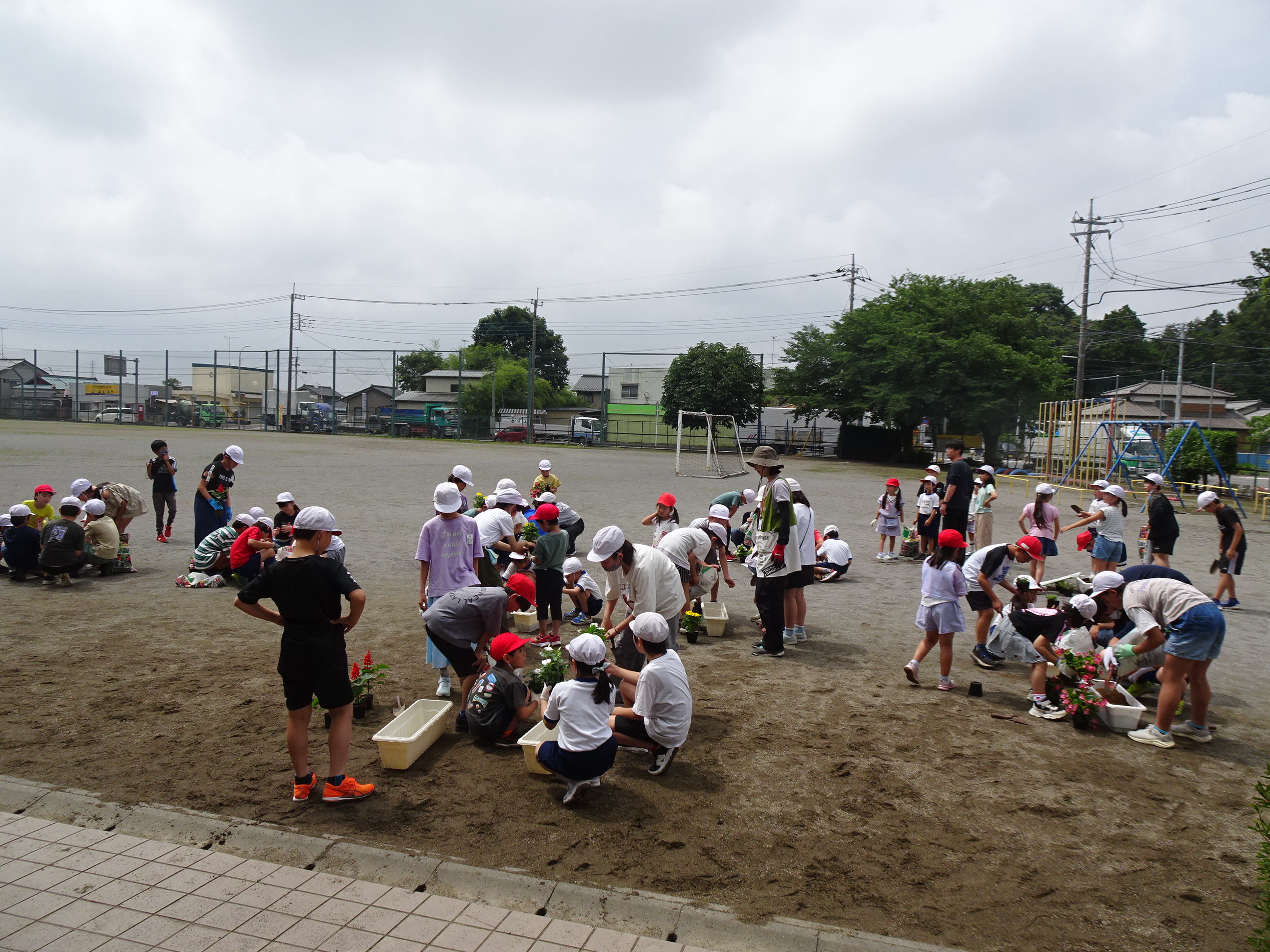 saibaikatudou1