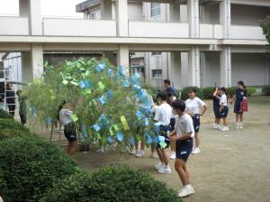 七夕8