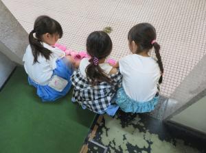 サンダル揃え