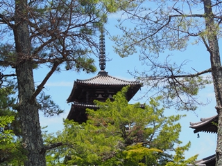 0628修学旅行 (2)