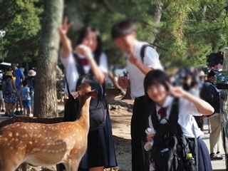 0628修学旅行 (6)