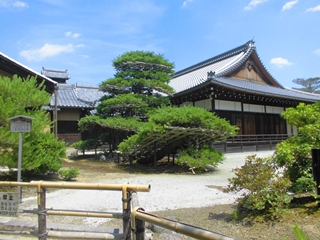 0628修学旅行 (10)