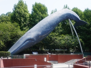 0701校外学習 (2)